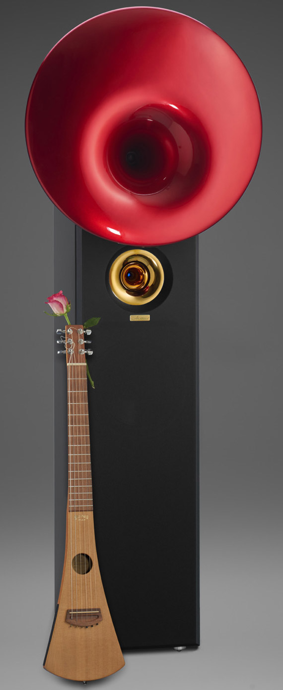 cellini-guitar-rose-in.jpg